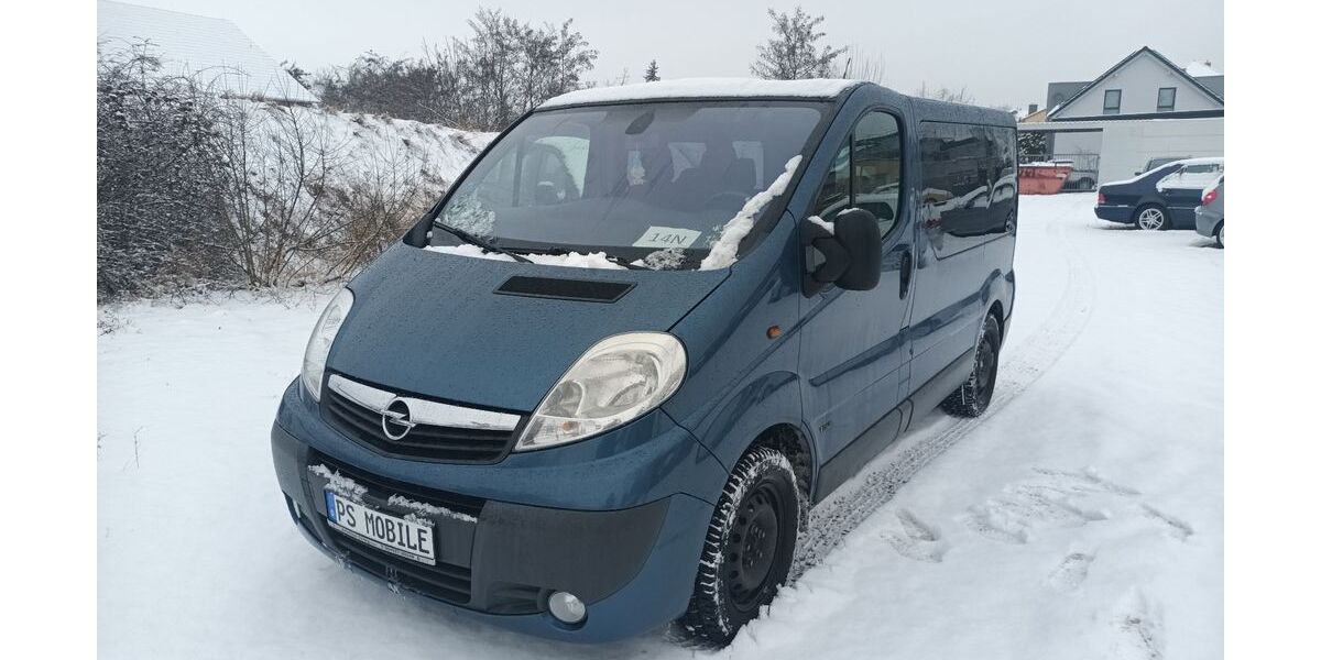 Opel Vivaro 230.000 km 8.900 &euro; Sandersdorf-Brehna 06792