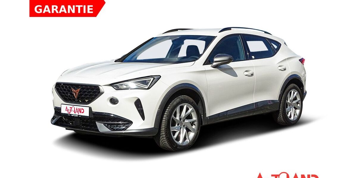 Cupra Formentor 40.063 km 22.950 &euro; Eisleben 06295