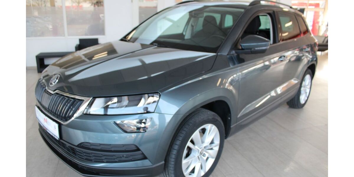 Skoda Karoq 102.542 km 15.990 &euro; Eisleben 06295