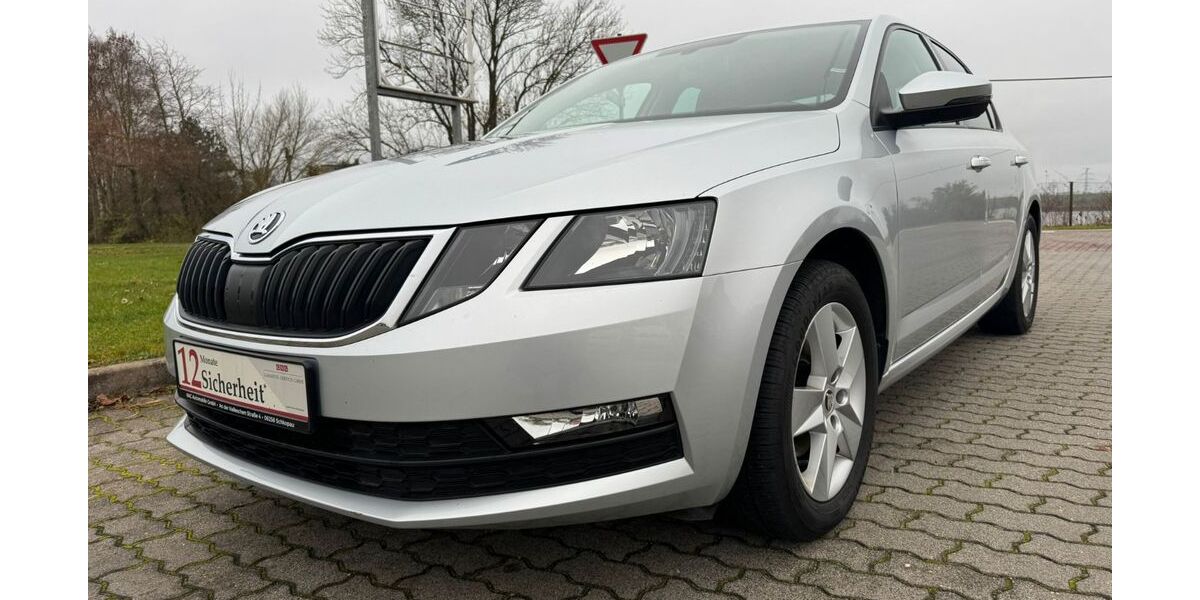 Skoda Octavia 134.730 km 12.999 &euro; Schkopau 06258