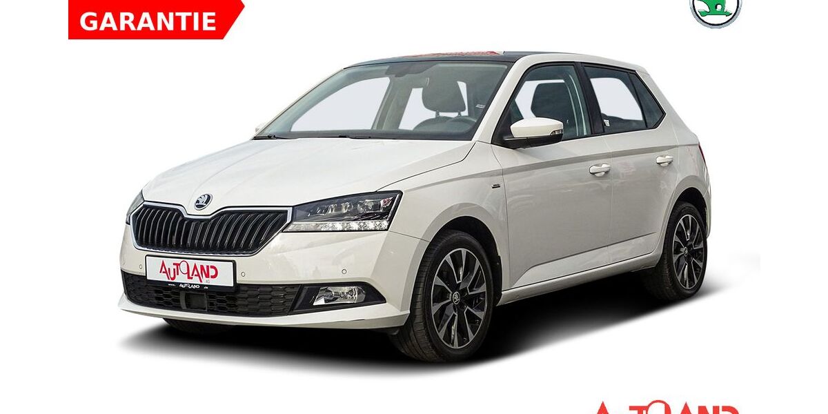 Skoda Fabia 64.406 km 15.950 &euro; Eisleben 06295