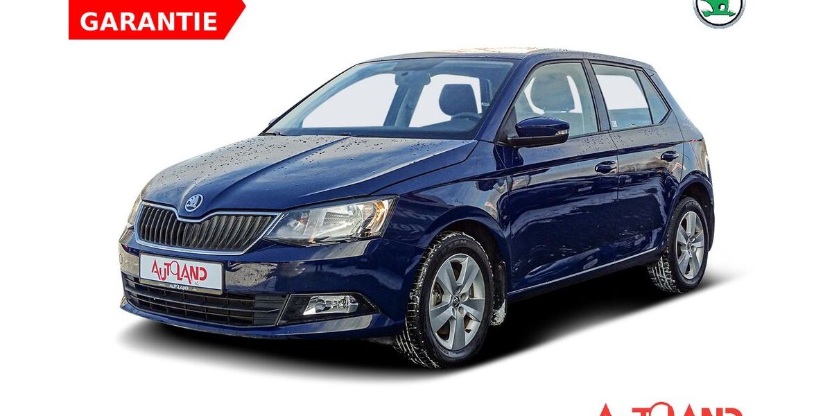 Skoda Fabia 19.236 km 15.990 &euro; Eisleben 06295