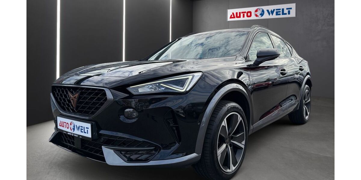 Cupra Formentor 79.400 km 22.490 &euro; Sandersdorf Brehna 06796