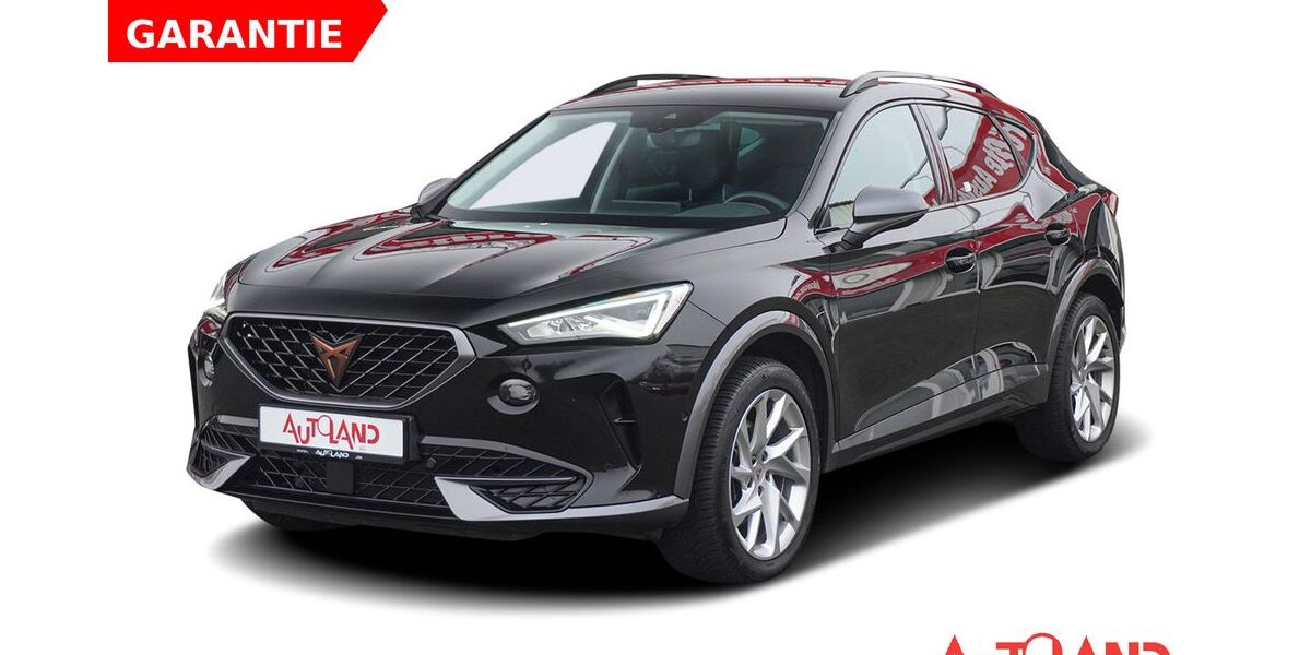 Cupra Formentor 69.603 km 24.950 &euro; Köthen 06366