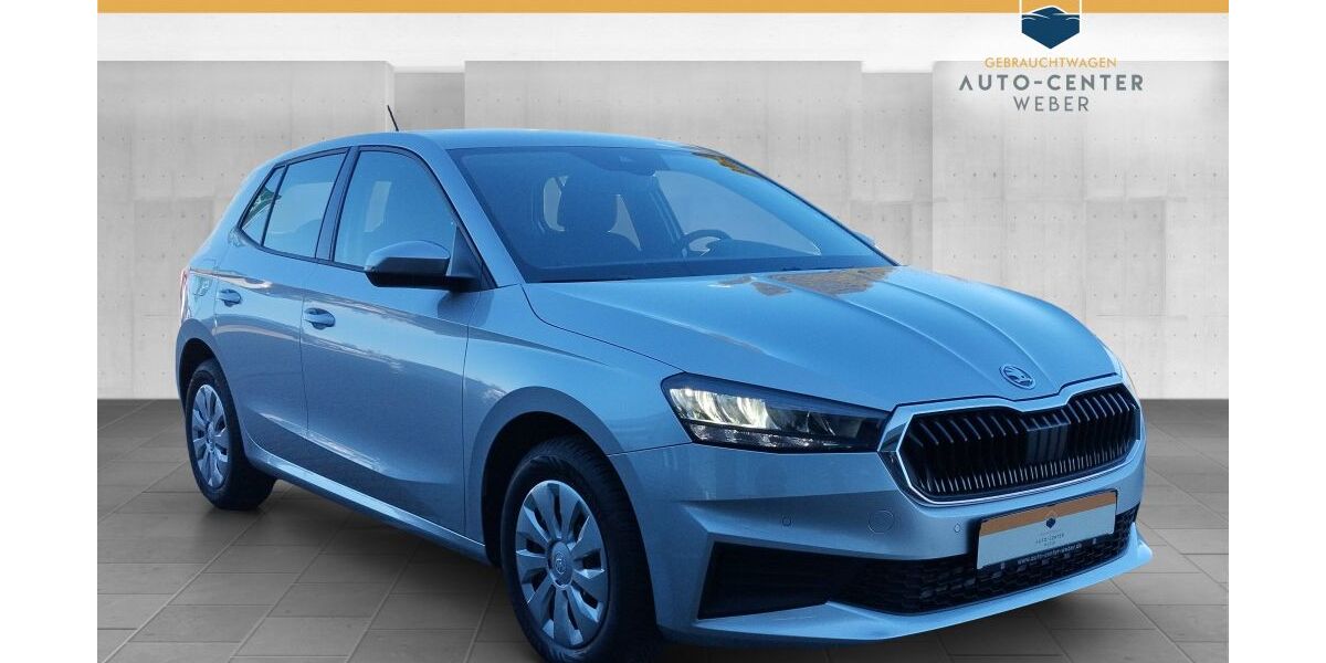 Skoda Fabia 1.256 km 18.780 &euro; Döbernitz 04509