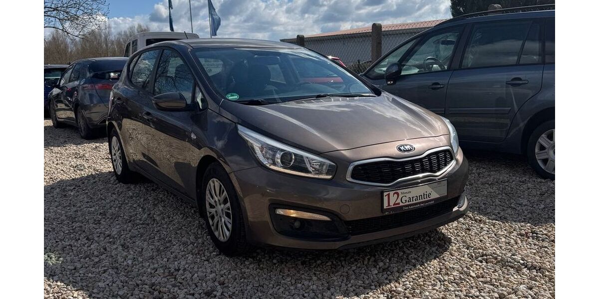 Kia ceed / Ceed 41.221 km 9.999 &euro; Bad Lauchstädt 06246