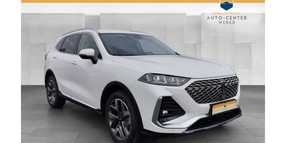 GWM Wey 03 9.990 km 40.990 &euro; Döbernitz 04509