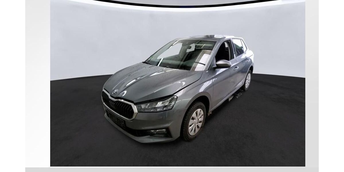 Skoda Fabia 48.884 km 14.250 &euro; Köthen 06366