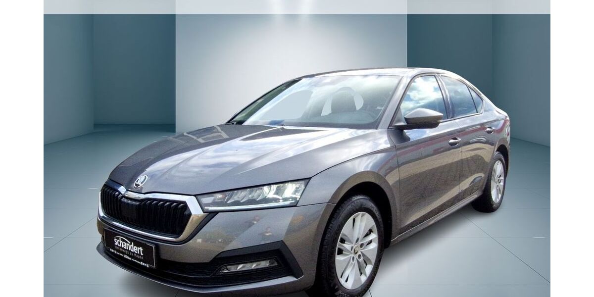 Skoda Octavia 50.685 km 19.880 &euro; Bitterfeld-Wolfen 06766