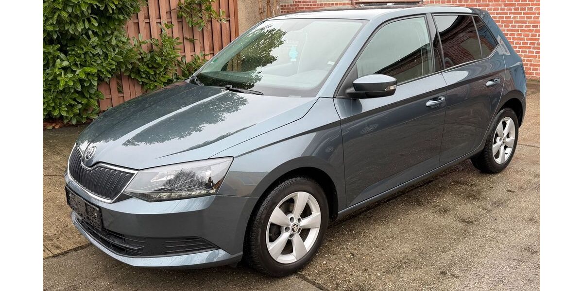 Skoda Fabia 190.000 km 6.990 &euro; Merseburg 06217