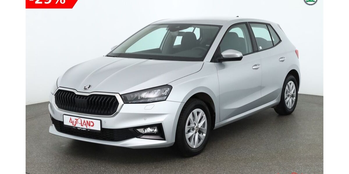 Skoda Fabia 24.157 km 20.490 &euro; Brehna 06796