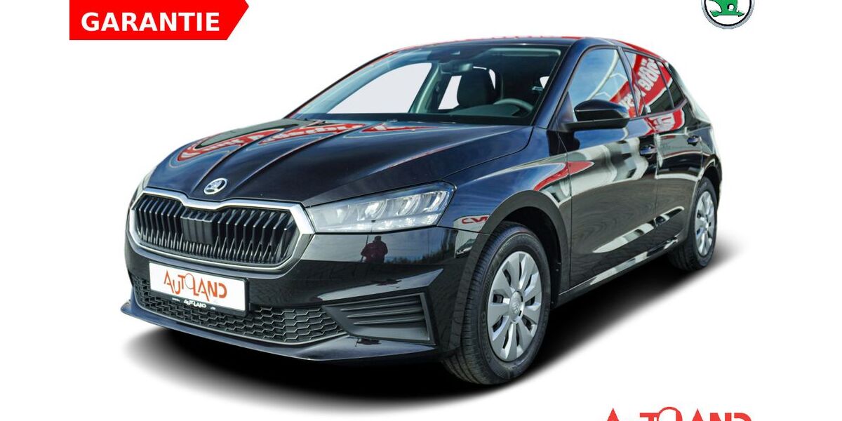 Skoda Fabia 25.043 km 15.990 &euro; Köthen 06366