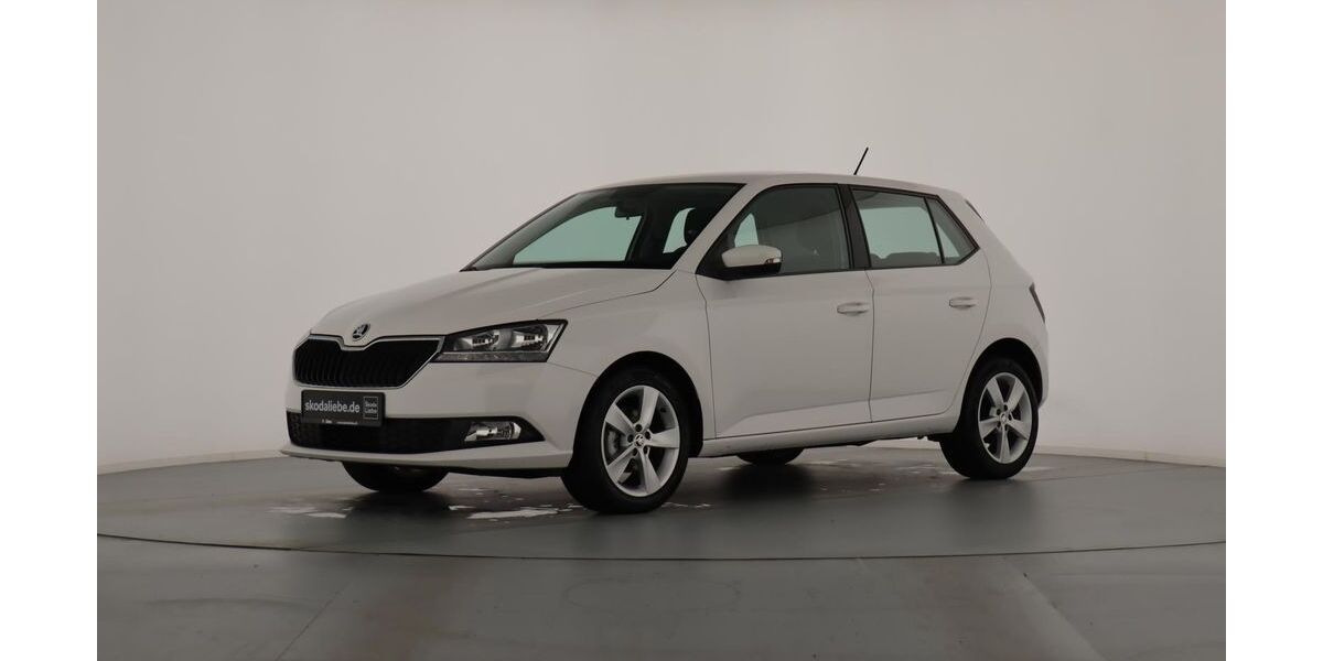 Skoda Fabia 79.999 km 10.889 &euro; Halle (Saale) 06126