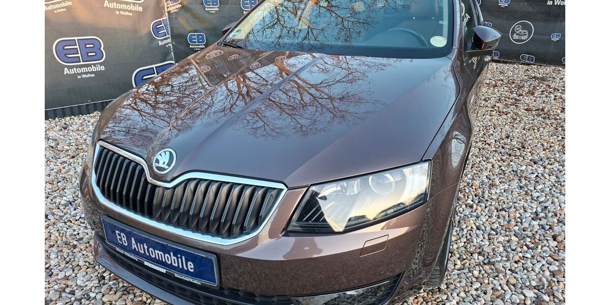 Skoda Octavia 117.000 km 10.999 &euro; Bitterfeld-Wolfen OT Wolfen 06766