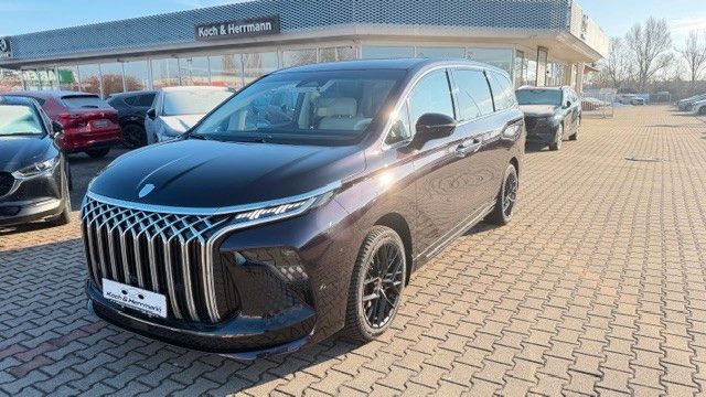 DFSK Forthing 9 11.800 km 41.990 &euro; Köthen 06366