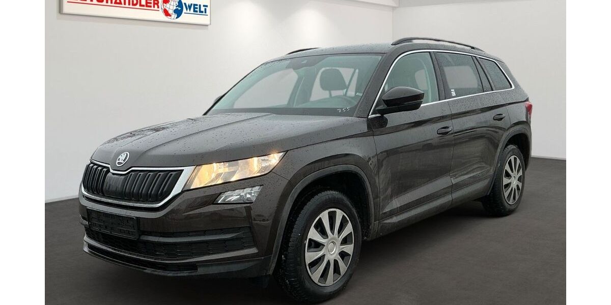 Skoda Kodiaq 337.589 km 10.899 &euro; Brehna 06796