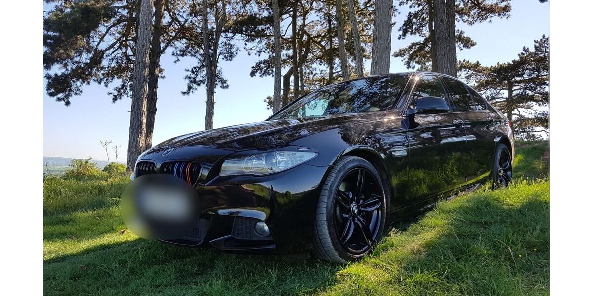 BMW 525 260.000 km 11.999 &euro; Schkopau 06258