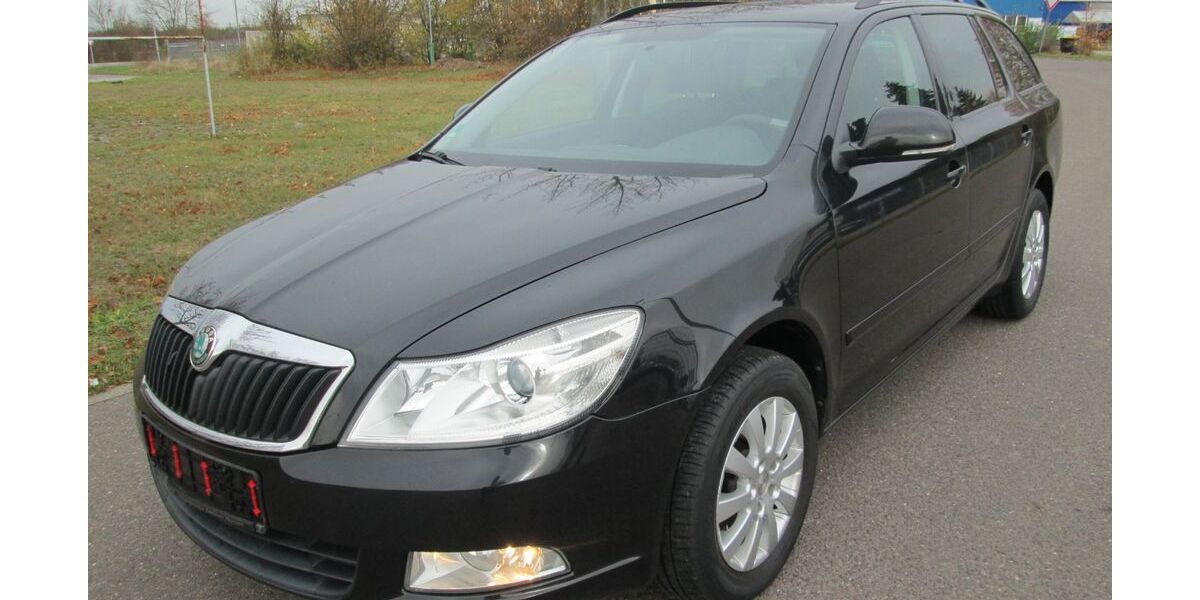 Skoda Octavia 296.264 km 3.999 &euro; Delitzsch 04509