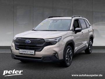 Gebrauchte Subaru Forester
