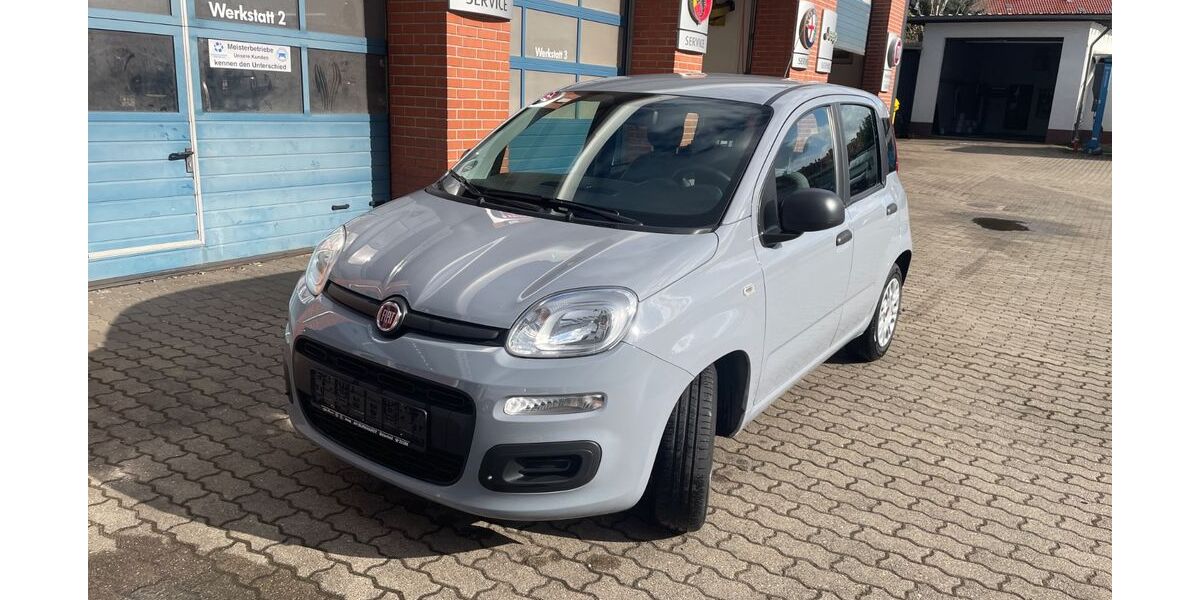 Fiat Panda 19.790 km 8.999 &euro; Bitterfeld-Wolfen 06749