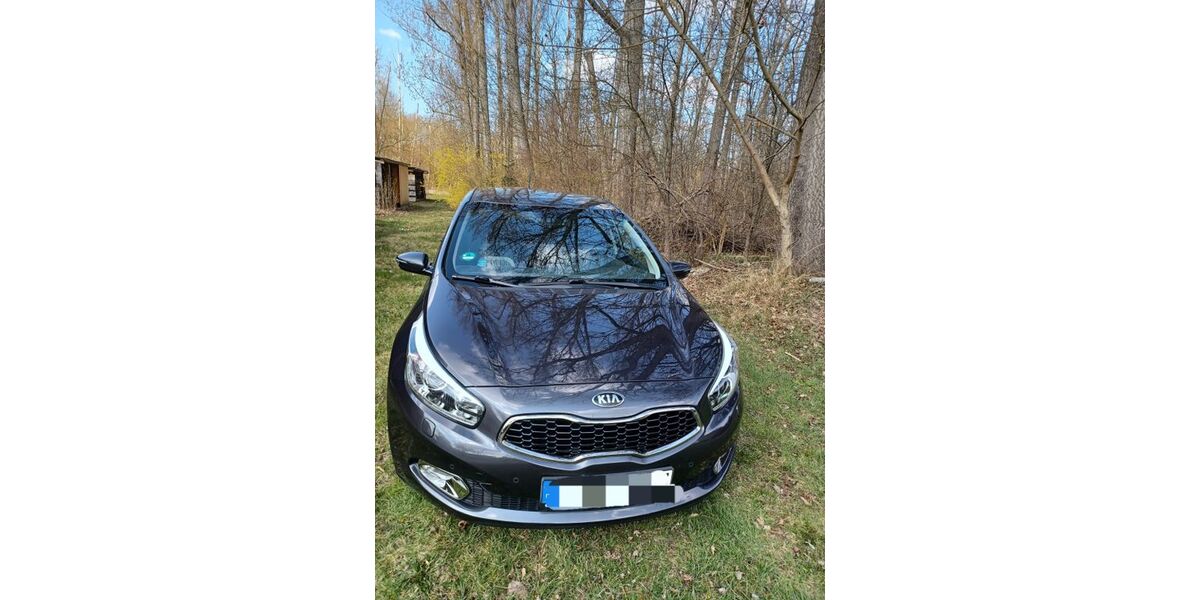 Kia ceed / Ceed 80.700 km 11.000 &euro; Schkopau 06258